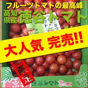 tomato-002