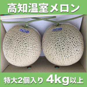 melon-004
