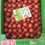 tomato-002