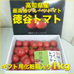 tomato-001