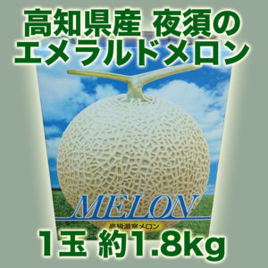 melon-013