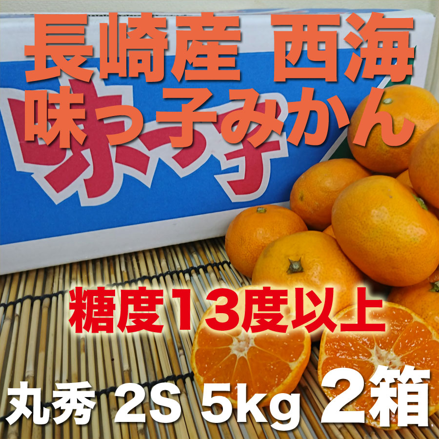 ご贈答に最適 長崎産 西海 味っ子みかん 丸秀 2s 5kg 2箱 フルーツショップかううる