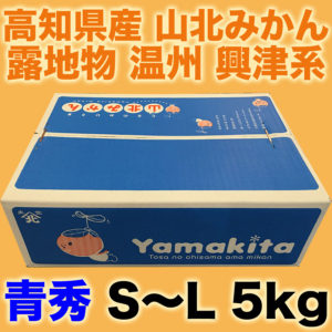 mikan-yamakita-002