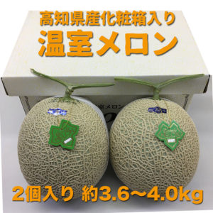 melon-016