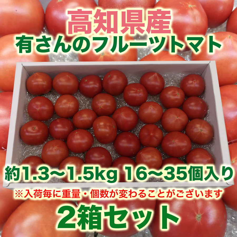 有さんのフルーツトマト 高知県産 フルーツトマト 約1 5kg 16 35個入り 2箱セット フルーツショップかううる